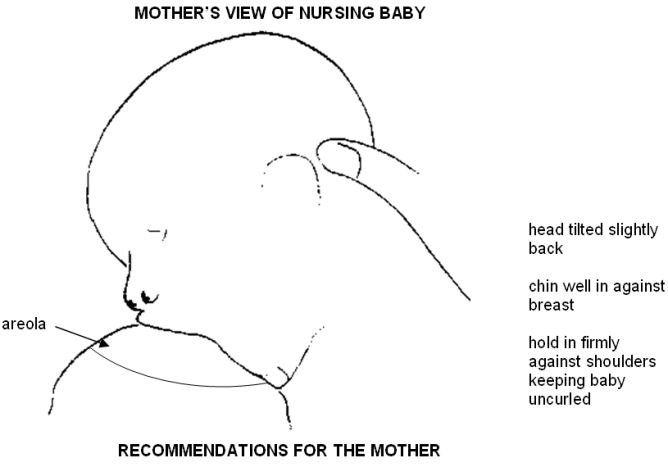 Mother’s view of nursing baby - head tilted slightly back, chin well in against the breast, hold in firmly against shoulders keeping baby uncurled